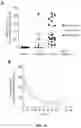 Fig. 40 - PROGNOSIS AND TREATMENT OF RELAPSING LEUKEMIA