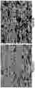 Fig. 03 - Method for producing high silicon dual phase steels with improved ductility