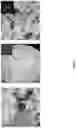 Fig. 09 - Multimodal microstructure material and methods of forming same