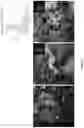Fig. 13 - Multimodal microstructure material and methods of forming same