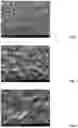 Fig. 02 - Electropolishing method and electrolyte for same