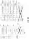 Fig. 10 - Non-contiguous channel bonding