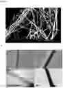 Fig. 06 - GEL-ELECTROSPINNING PROCESS FOR PREPARING HIGH-PERFORMANCE POLYMER NANOFIBERS