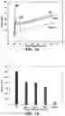 Fig. 06 - TOUGH, HIGH IMPACT RESISTANT 3D PRINTED OBJECTS FROM STRUCTURED FILAMENTS