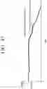 Fig. 44 - Washing machine motor and washing machine having same