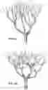 Fig. 10 - Shapeable bundles of slidably-interlocked extrusions for architectural or other construction components
