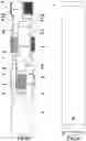 Fig. 05 - Casing scraper activated and deactivated downhole