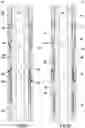 Fig. 29 - Casing scraper activated and deactivated downhole