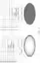 Fig. 03 - COMPOSITIONAL CONTROL OF PROTECTIVE LAYERS