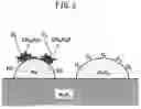 Fig. 03 - Exhaust purification system of internal combustion engine