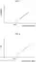 Fig. 08 - Exhaust purification system of internal combustion engine