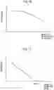 Fig. 10 - Exhaust purification system of internal combustion engine