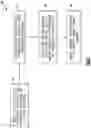 Fig. 05 - PREDICTION OF INLET DISTORTION OF BOUNDARY LAYER INGESTING PROPULSION SYSTEM