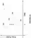Fig. 03 - DETECTION OF UNCOMMANDED AND UNCONTROLLABLE HIGH THRUST EVENTS