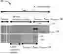 Fig. 01 - LINEAR VERNIER GENERATOR FOR WAVE ENERGY CONVERSION