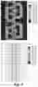 Fig. 05 - LINEAR VERNIER GENERATOR FOR WAVE ENERGY CONVERSION