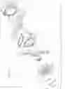 Fig. 05 - LIGHTWEIGHT VACUUM PUMP WITH OXIDIZED SURFACES