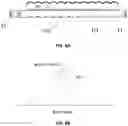 Fig. 07 - Adjustable-beam luminaires