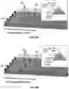 Fig. 15 - Adjustable-beam luminaires