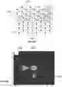 Fig. 18 - Adjustable-beam luminaires