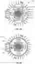 Fig. 04 - Explosion proof luminaire