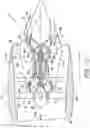 Fig. 02 - Combustor heat shield and attachment features