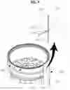 Fig. 08 - Hot water boiler with vortex guide