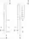 Fig. 10 - Vertical heat exchanger for a geothermal heating and cooling system and method of use