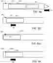 Fig. 06 - Weapons System Smart Device