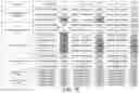 Fig. 12 - Method of sample preparation for Maldi and automated system therefor