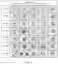 Fig. 03 - Spectral differentiation of histological stains