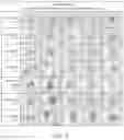 Fig. 04 - Spectral differentiation of histological stains