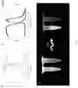Fig. 02 - Core-shell type nanosilica fluorescent probe and synthesis method and use thereof