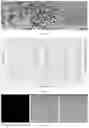 Fig. 04 - Core-shell type nanosilica fluorescent probe and synthesis method and use thereof