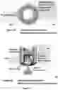 Fig. 04 - Multi excitation-multi emission fluorometer for multiparameter water quality monitoring