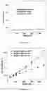 Fig. 05 - Biopharmaceutical aggregation assessment and counterfeit detection using magnetic resonance relaxometry