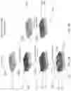 Fig. 04 - Method and an apparatus for determining a presence or an amount of a polyamine or its derivative in a sample