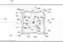Fig. 01 - Method of identifying and removing surface irregularities before ultrasonic inspection and device for identifying surface irregularities