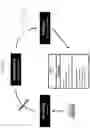 Fig. 05 - Methods for validating medication
