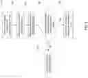 Fig. 03 - Dissolved oxygen measurement