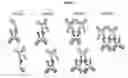 Fig. 10 - Systems and methods for affinity capillary electrophoresis
