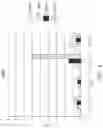 Fig. 05 - Antibodies binding to TLR2/TLR4-interacting immunologically active polypeptide