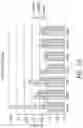 Fig. 14 - Antibodies binding to TLR2/TLR4-interacting immunologically active polypeptide