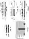 Fig. 04 - Saposin-A derived peptides and uses thereof