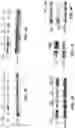 Fig. 08 - Saposin-A derived peptides and uses thereof