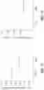 Fig. 12 - Saposin-A derived peptides and uses thereof