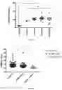 Fig. 06 - METHODS AND COMPOSITIONS FOR DIAGNOSING RENAL CELL CARCINOMA