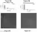 Fig. 07 - METHODS APPARATUSES AND SYSTEMS FOR DETECTING AND QUANTIFYING PHOSPHOPROTEINS