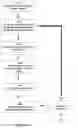 Fig. 19 - METHODS APPARATUSES AND SYSTEMS FOR DETECTING AND QUANTIFYING PHOSPHOPROTEINS