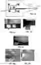 Fig. 14 - Methods and systems for diagnosing diseases